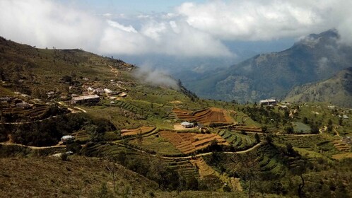 Horton Plains : Randonnée de l'étape 11 du Pekoe Trail jusqu'à Udaweriya