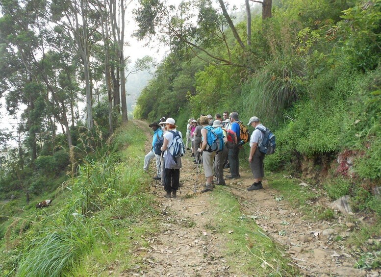 Picture 4 for Activity Horton Plains: Pekoe Trail Stage 11 Hiking Trip to Udaweriya