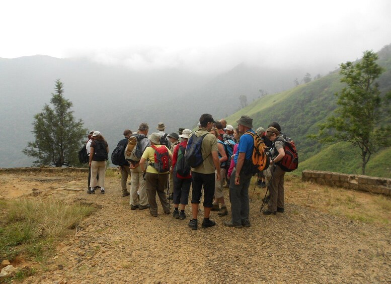 Picture 12 for Activity Horton Plains: Pekoe Trail Stage 11 Hiking Trip to Udaweriya