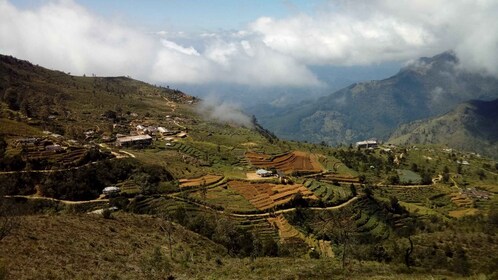 Horton Plains: Pekoe Trail Etape 11 Vandretur til Udaweriya