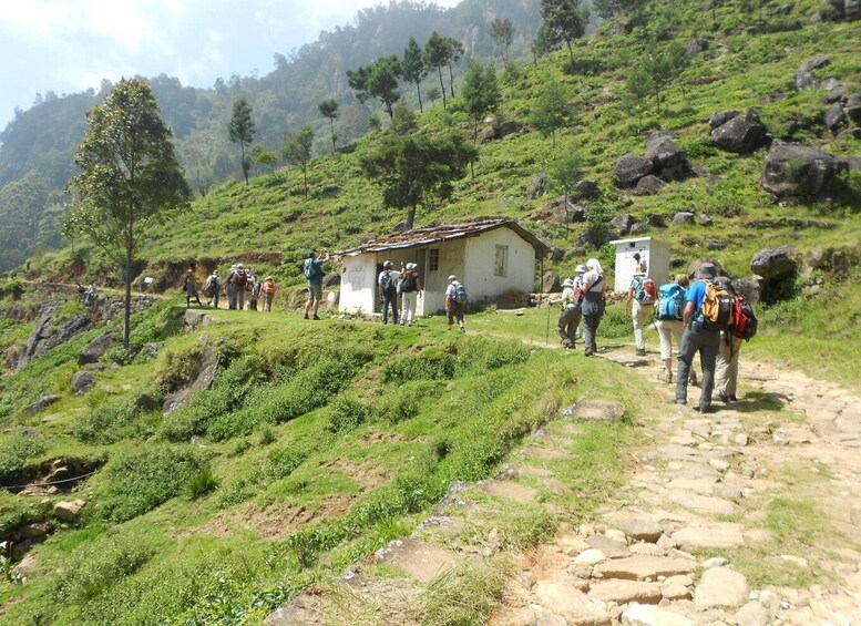 Picture 6 for Activity Horton Plains: Pekoe Trail Stage 11 Hiking Trip to Udaweriya