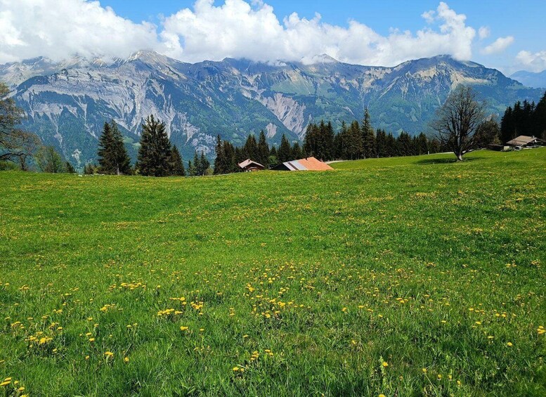 Picture 5 for Activity Interlaken: Highlights Tour with a Local by Private Car