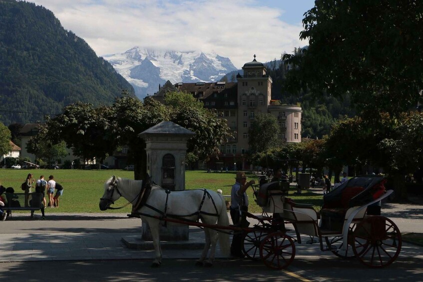 Picture 7 for Activity Interlaken: Highlights Tour with a Local by Private Car