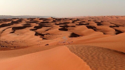 Golden Hour Magic: Rub' Al Khali Wüsten-Sonnenuntergangstour