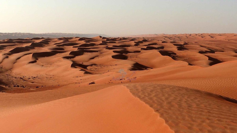 Golden Hour Magic: Rub' Al Khali Desert Sunset Tour