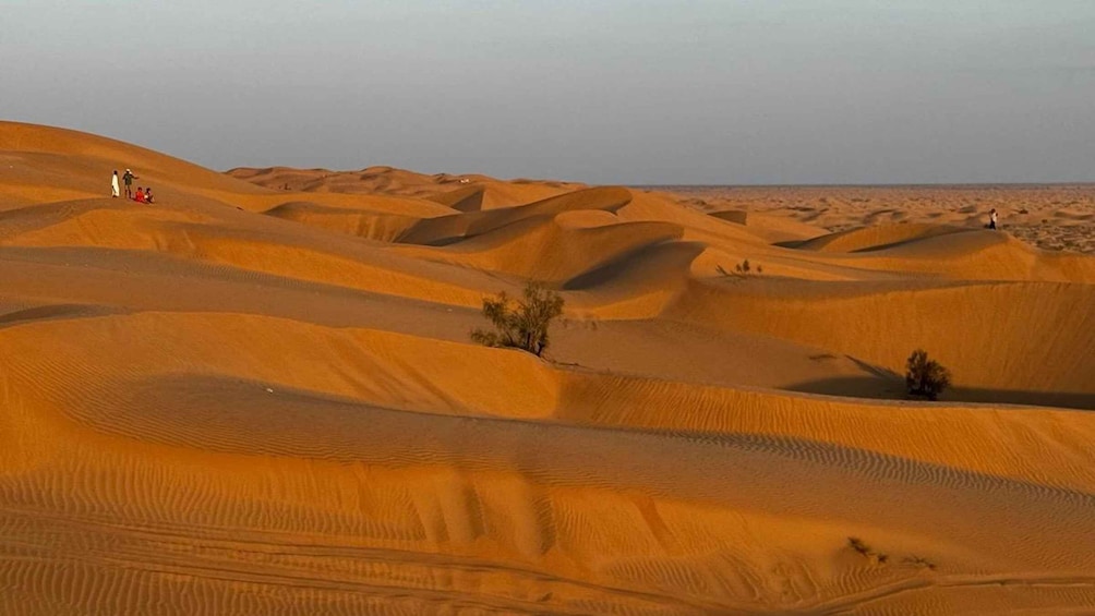 Picture 4 for Activity Golden Hour Magic: Rub' Al Khali Desert Sunset Tour