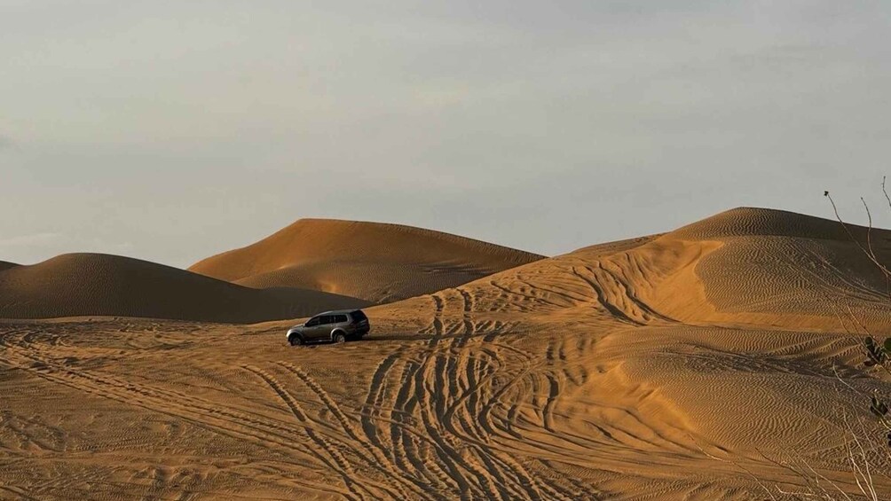 Picture 7 for Activity Golden Hour Magic: Rub' Al Khali Desert Sunset Tour