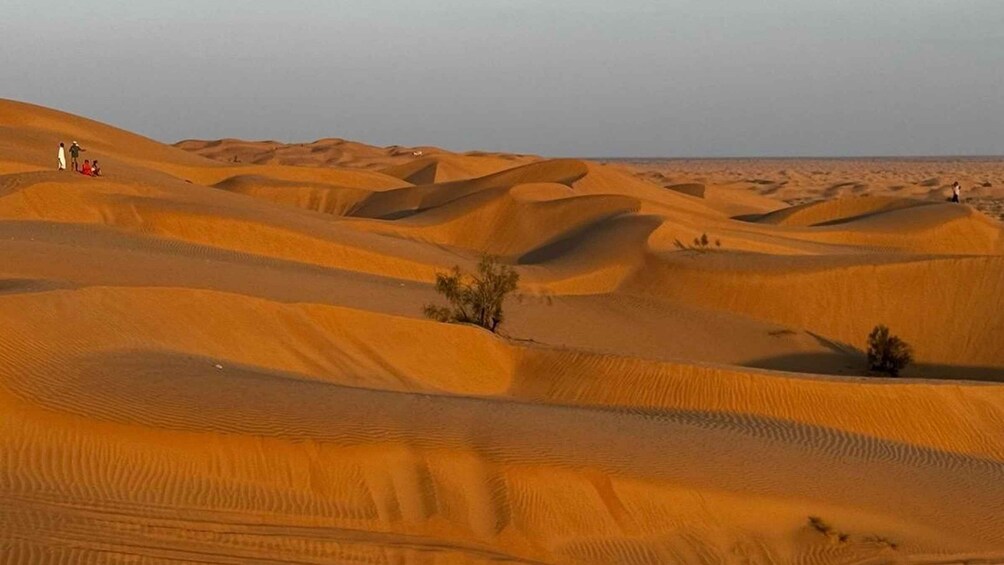 Picture 4 for Activity Golden Hour Magic: Rub' Al Khali Desert Sunset Tour