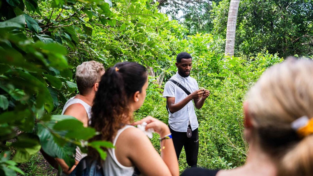 Picture 4 for Activity Zanzibar : Jozani Forest Tour with transfer