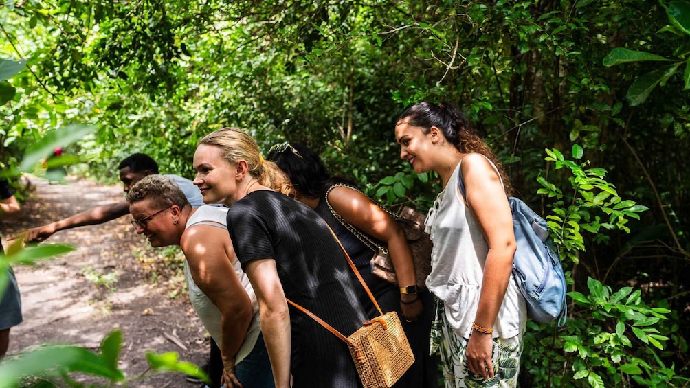 Picture 15 for Activity Zanzibar : Jozani Forest Tour with transfer