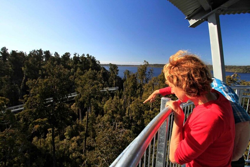 Picture 3 for Activity Hokitika: West Coast Tree Top Tower Zip Line and Walk