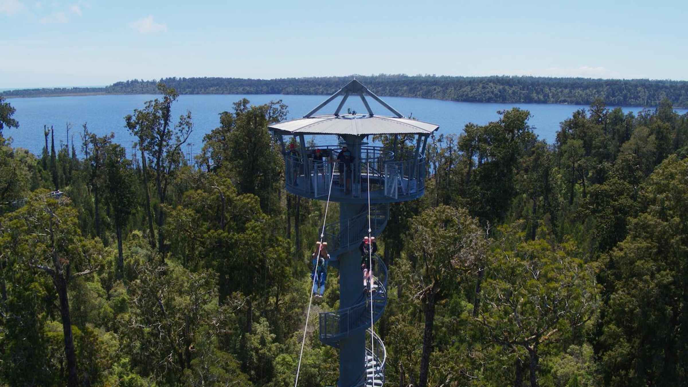 Hokitika: West Coast Tree Top Tower Zip Line and Walk