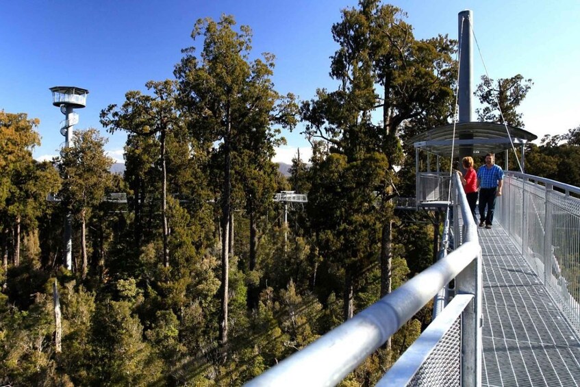 Picture 4 for Activity Hokitika: West Coast Tree Top Tower Zip Line and Walk