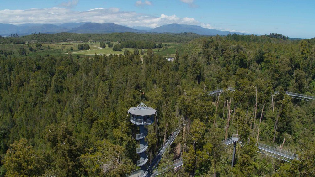 Picture 6 for Activity Hokitika: West Coast Tree Top Tower Zip Line and Walk