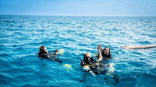 Zanzibar: 2-dages PADI Advanced Open Water-kursus (+5 OW-dyk)