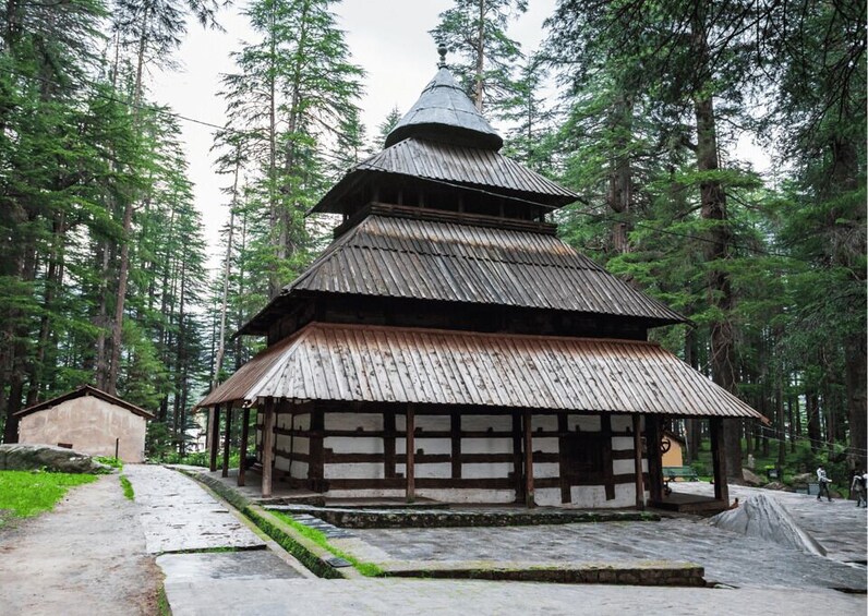 Picture 6 for Activity Best of Manali with a local - Half day Tour in AC Car