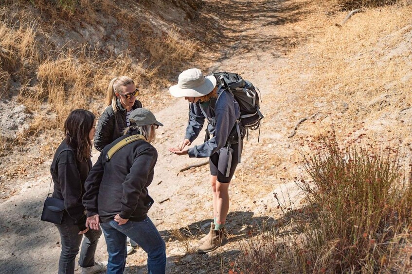 Picture 2 for Activity San Luis Obispo: Margarita Ranch Foraging Tour