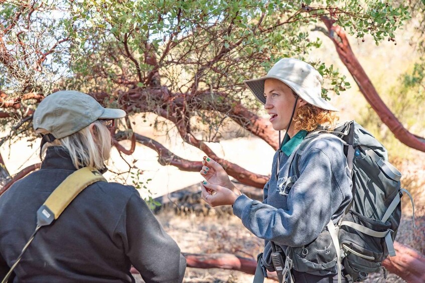 San Luis Obispo: Margarita Ranch Foraging Tour