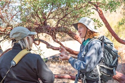 San Luis Obispo: Margarita Ranch Foraging Tour