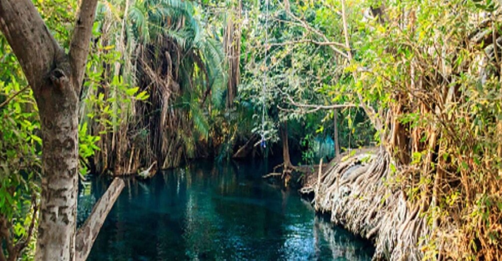 Picture 4 for Activity Chemka or Kikuletwa Hot Springs