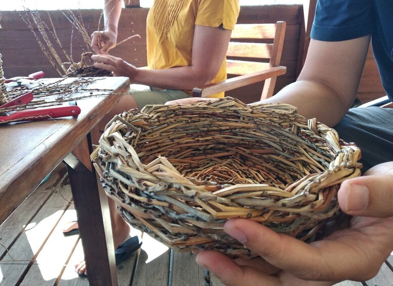 Picture 2 for Activity Workshop: Traditional basketry @ the Canary Island date palm