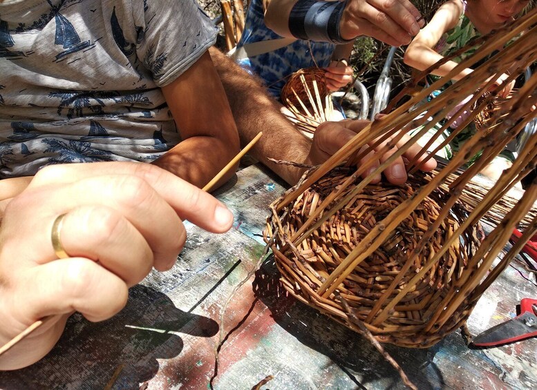 Picture 6 for Activity Workshop: Traditional basketry @ the Canary Island date palm