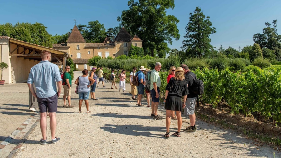 Bordeaux: Vineyards Wine Tasting Half-Day Trip