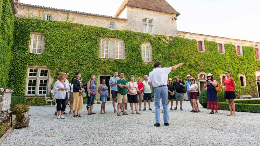 Bordeaux: Vineyards Wine Tasting Half-Day Trip