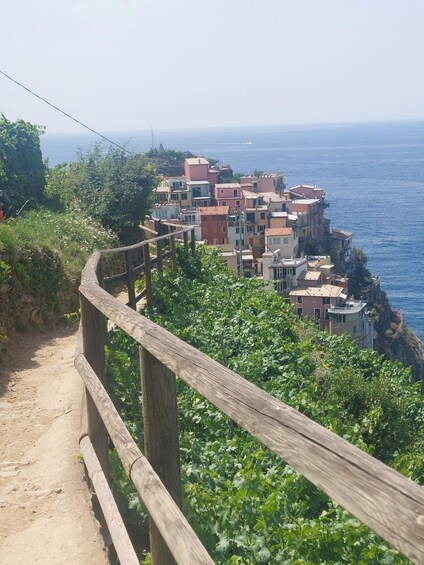 Picture 11 for Activity Cinque Terre from Riomaggiore to Manarola and vineyards