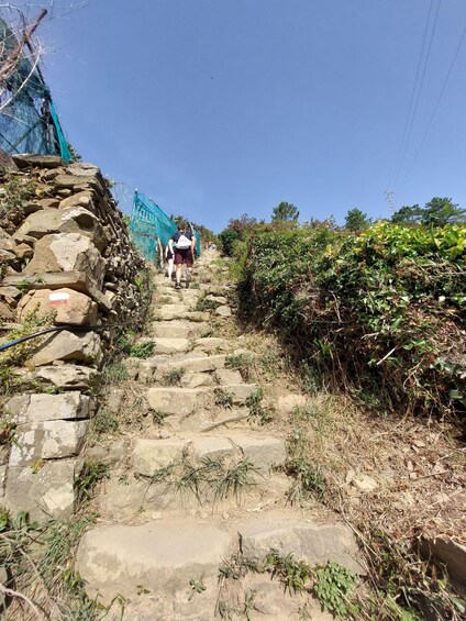 Picture 3 for Activity Cinque Terre from Riomaggiore to Manarola and vineyards