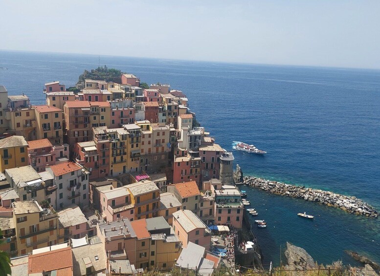 Picture 10 for Activity Cinque Terre from Riomaggiore to Manarola and vineyards