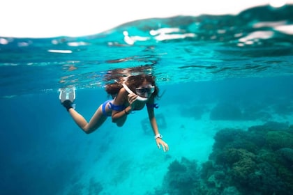 Roses boat trip Special: snorkelling in Cap de Creus
