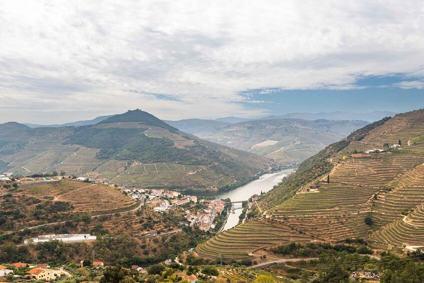 Picture 106 for Activity Porto: Douro Valley, 2 Wineries, Lunch & Private Boat Trip