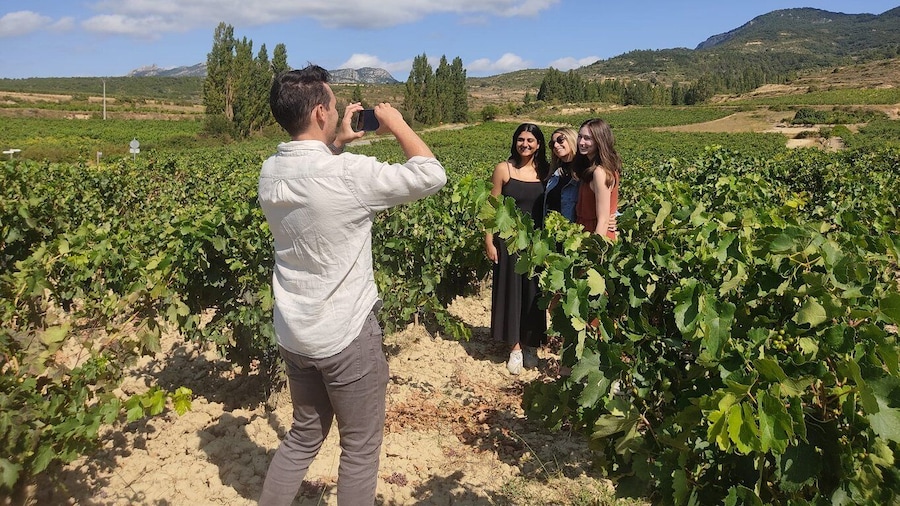 From Pamplona or Logroño: Rioja Wineries Day Trip w/ Tasting