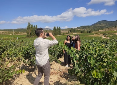 Von Pamplona oder Logroño aus: Rioja Weinkellereien Tagesausflug mit Verkos...