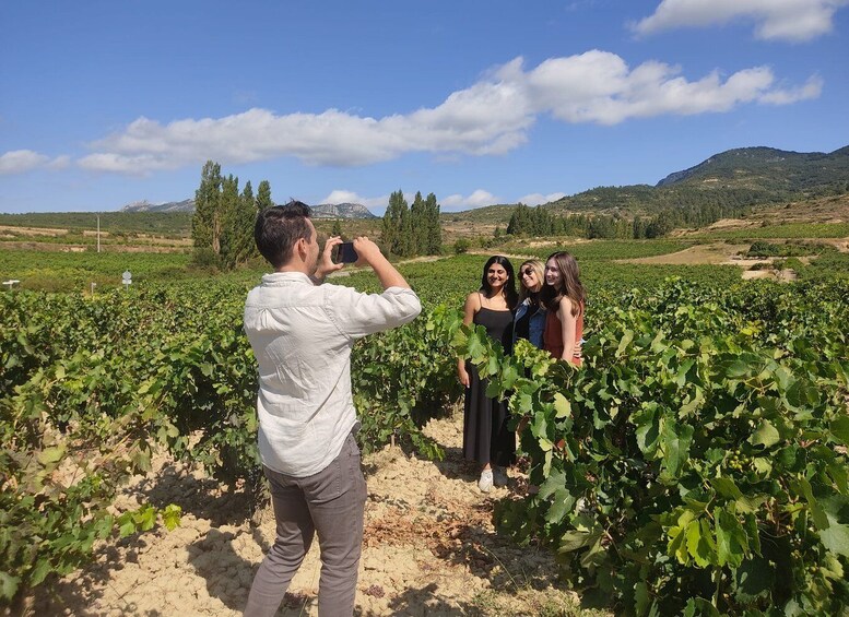 From Pamplona or Logroño: Rioja Wineries Day Trip w/ Tasting