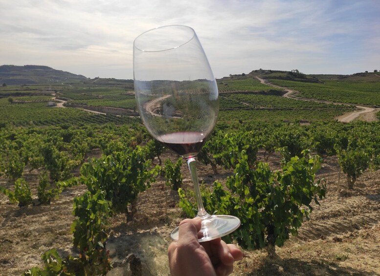 Picture 2 for Activity From Pamplona or Logroño: Rioja Wineries Day Trip w/ Tasting