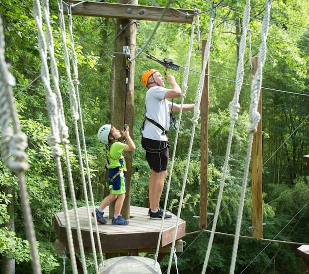 Picture 6 for Activity Bryson City: Zip Line Adventure Park Pass with Gear
