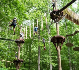 Bryson City: Zip Line Adventure Park Pass med utstyr