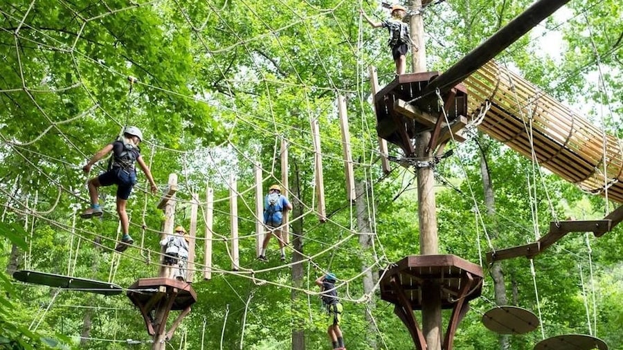 Bryson City: Zip Line Adventure Park Pass with Gear