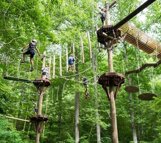 Bryson City: Zip Line Adventure Park Pass med utrustning