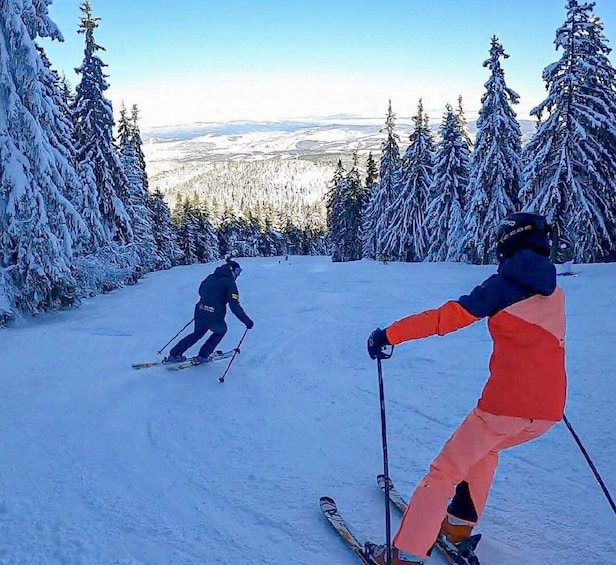 Borovets : 2 Hours Ski Tuition