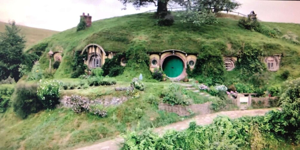 Picture 1 for Activity From Auckland: Hobbiton and Waitomo Day Tour with Lunch