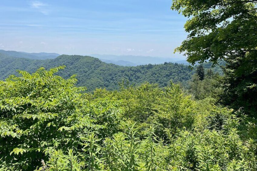 Small-Group Tour of Smoky Mountains Foothills Parkway