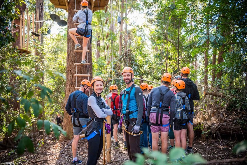 Picture 2 for Activity Canberra: Majura Pines Tree Ropes Course