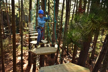 Canberra: Majura Pines Tree Ropes Course