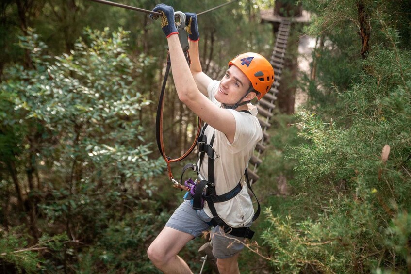 Picture 3 for Activity Canberra: Majura Pines Tree Ropes Course