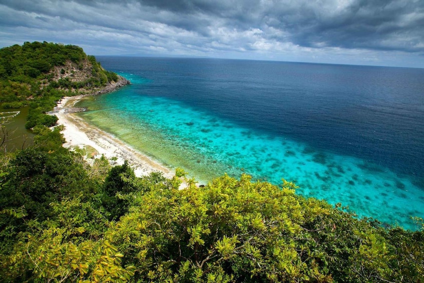 Dumaguete Apo Island with Turtle Snorkeling