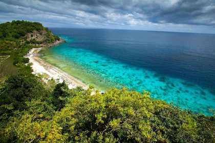 Dumaguete Apo Island with Turtle Snorkeling