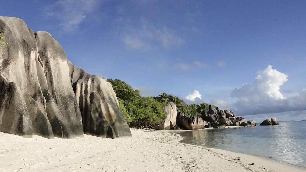 Picture 9 for Activity From Mahé: Praslin & La Digue Island-Hopping Tour with Lunch